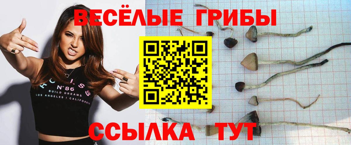 Клин  Галлюциногенные грибы Psilocybe  где продают   Псилоцибиновые грибы Psilocybine cubensis  Вход с VPN 