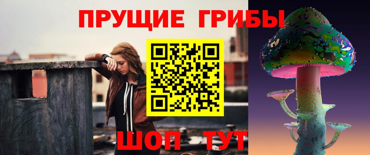 Псилоцибиновые грибы GOLDEN TEACHER Клин